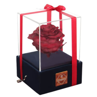 جعبه موزیکال گل ماندگار دکوفیوره مدل رز جاودان ملودی های عاشقانه