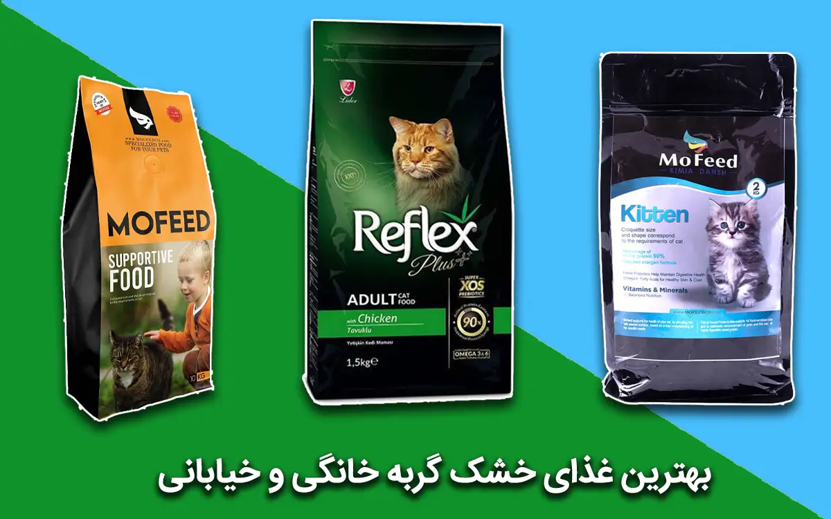 best cat dry foods
