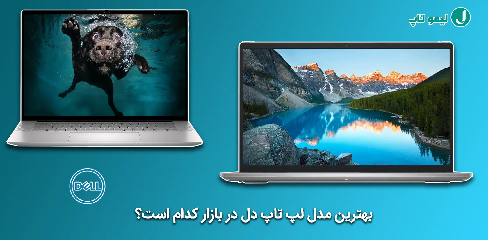 the best laptops dell