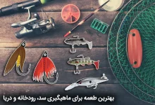 بهترین طعمه ماهیگیری