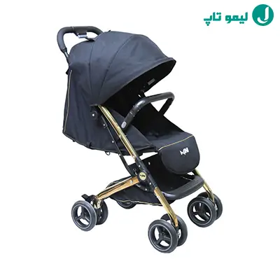 کالسکه دلیجان مدل اینتکس