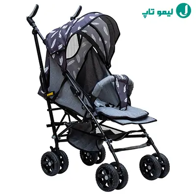 کالسکه دلیجان نیو استار