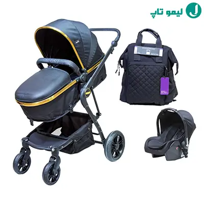 قیمت کالسکه دلیجان مدل بنیتا