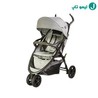 کالسکه دلیجان اگنس