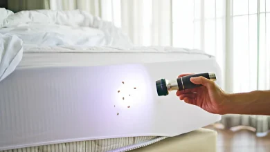 از بین بردن ساس از نظر دکتر خیراندیش