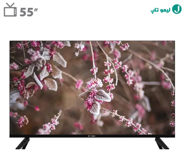 بهترین تلویزیونهای اسنوا 55 اینچ با پنل IPS