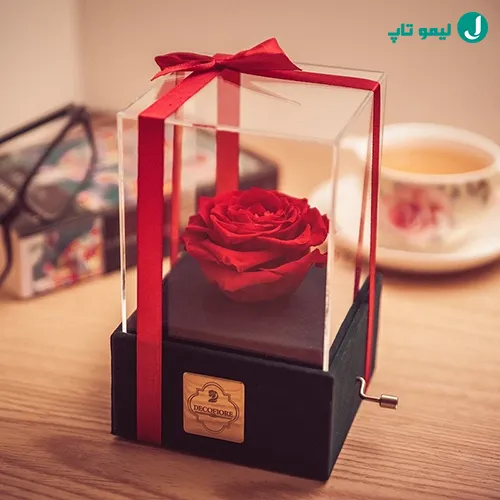 جعبه موزیکال گل ماندگار دکوفیوره مدل رز جاودان ملودی های عاشقانه