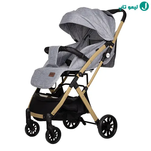 stroller baby5