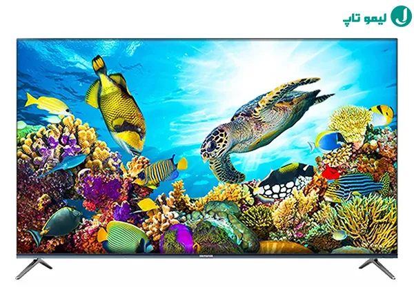 تصویر زیر آب و لاکپشت روی تلویزیون آیوا ZQ-PM8U65UHD
