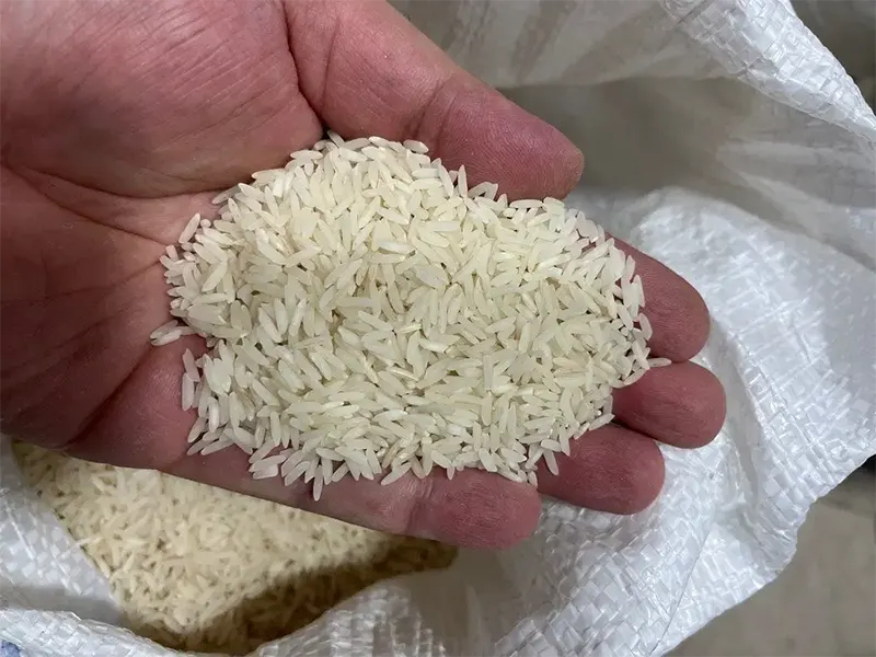راهنمای انتخاب برنج بر اساس نیاز و مصرف